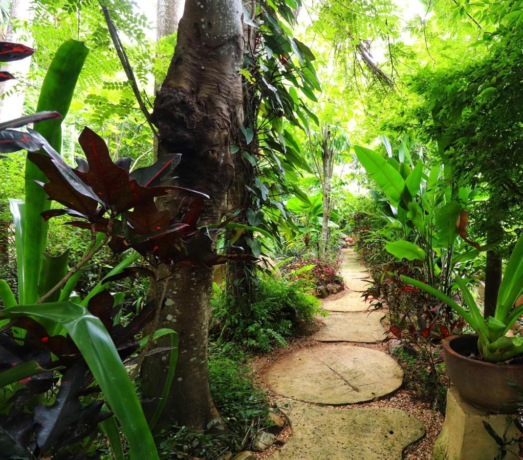 Whitsundays Bnb Retreat エアリービーチ エクステリア 写真